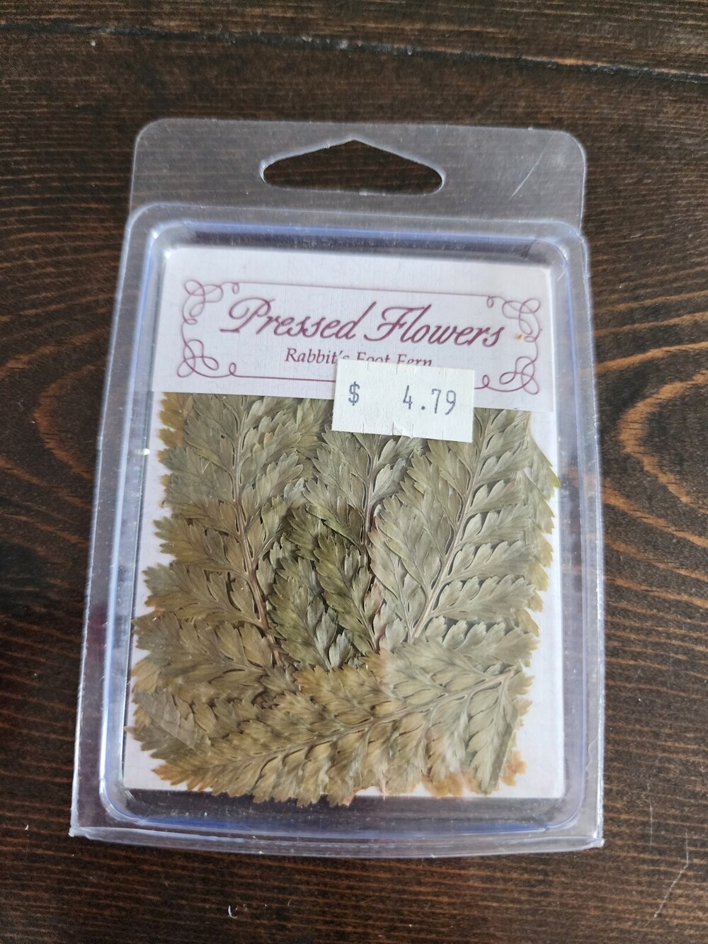 Real Pressed Flowers Crafts Scrapbooking - NEW - Rabbit's Foot Fern - 10 Pcs #24